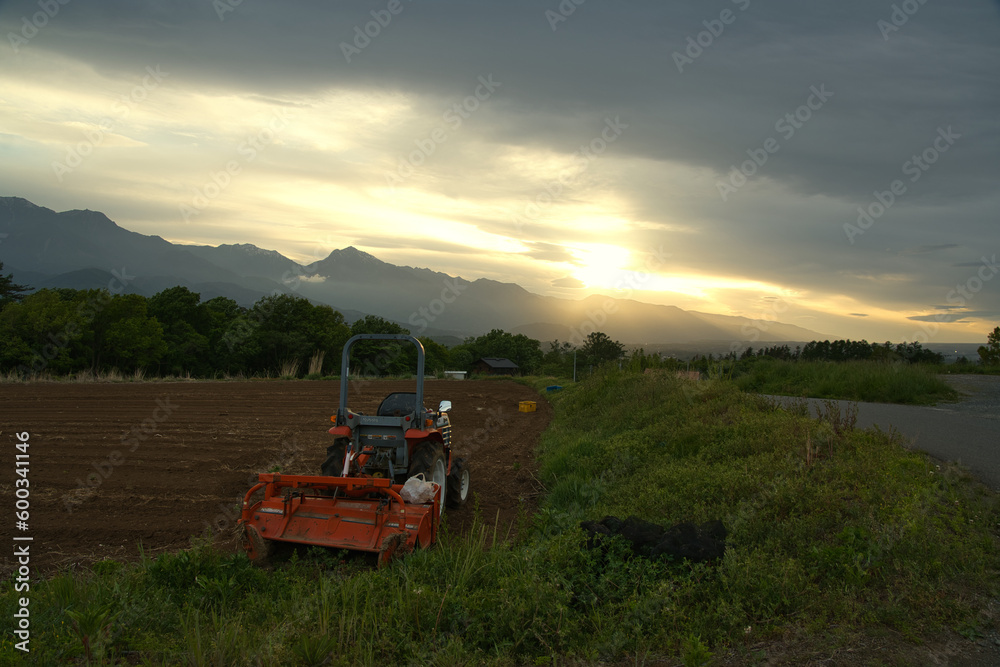 Image of Japanese rice fields Image of Japanese rice fields