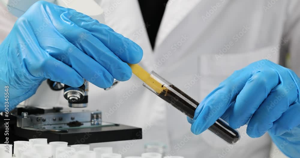 Soil laboratory analysis scientist measures pH of soil sample with litmus strips. Agrochemical soil survey