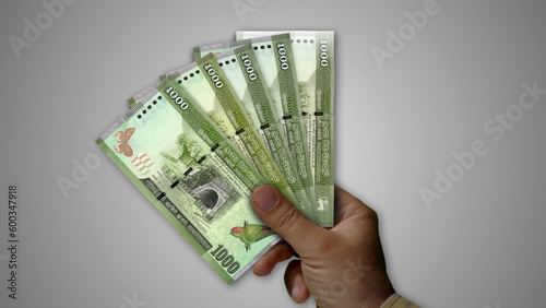 Sri Lanka rupee growing pile of money in hand concept 3d illustration
