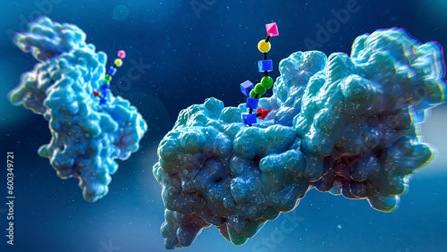 Glycoproteins, illustration photo
