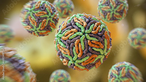 Flaviviridae viruses, illustration photo