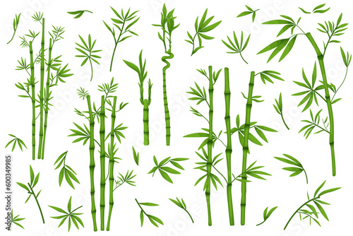 Fototapeta Naklejka Na Ścianę i Meble -  Set of illustrations of bamboo, leaves and branches, vector 