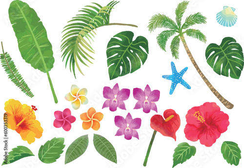 南国の植物　手描き水彩イラスト　アイコンセット　