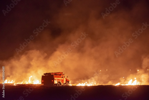 Fototapeta Terrible wild huge fire on the horizon at night in the field