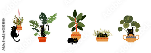 Set cartoon black cat in a pot with houseplants. Funny pets vector scene. A cheerful cat hides behind a flower pot, hooligans, jumps on plants.