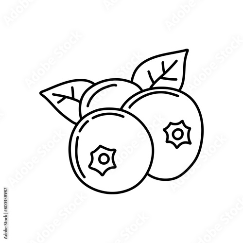 blueberry doodle icon. Blue berry line art vector illustration