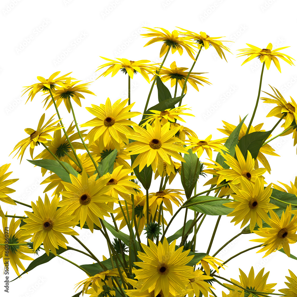 Cone yellow flower house plant clear png