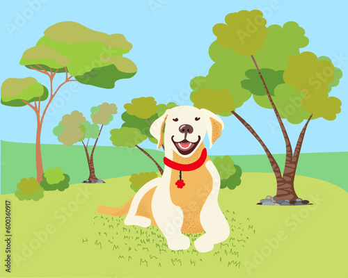 Golden Retriever hides in the bushes and peeps. Advertising banner  poster with Labrador for web  cafes  hotels. Pets are welcome. The dog lies on the grass in the park.. Pet-friendly place for animal