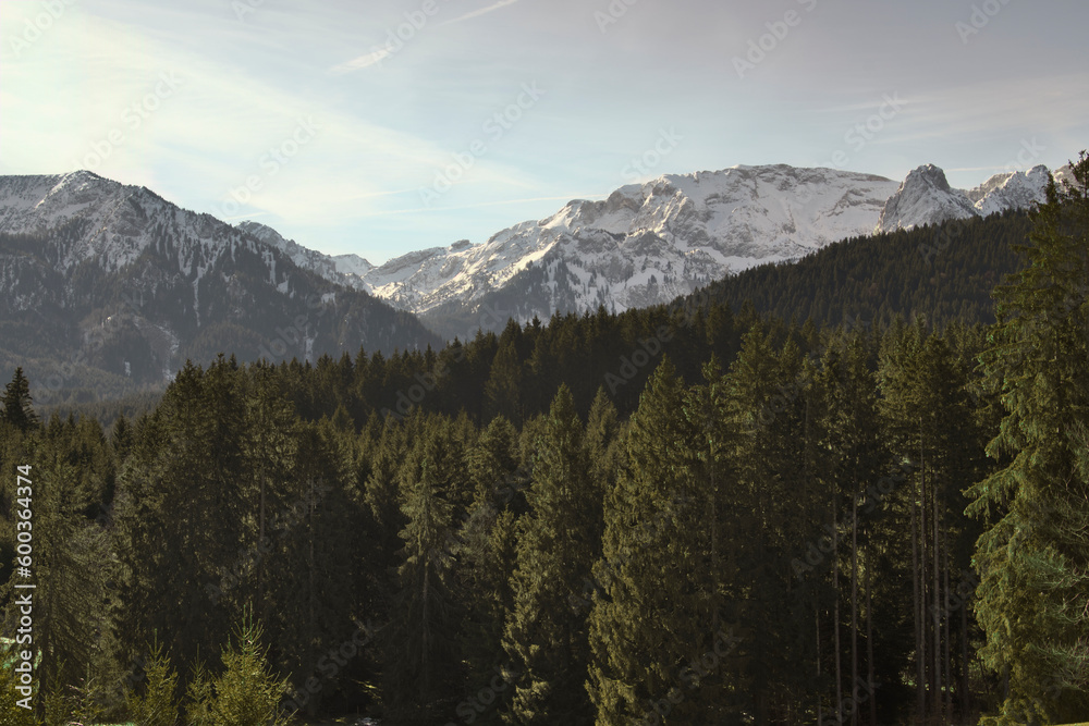 Alpy widok z Buchenberg