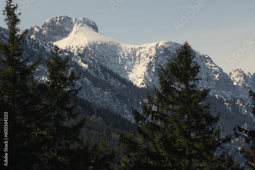 Alpy widok z Buchenberg photo