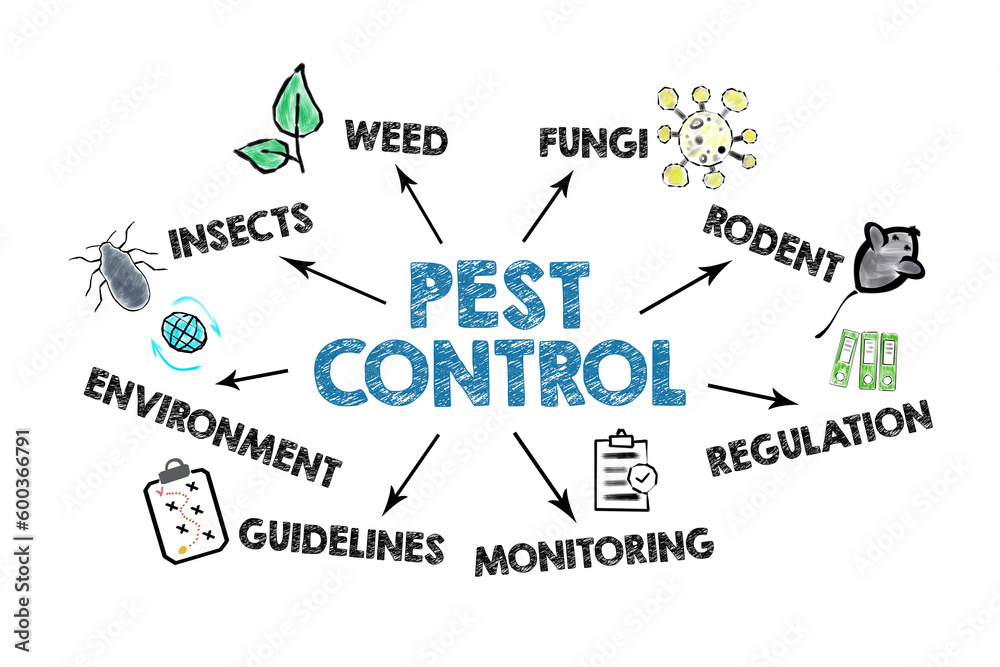 Pest Control Concept. Illustration with icons, arrows and keywords on a white background