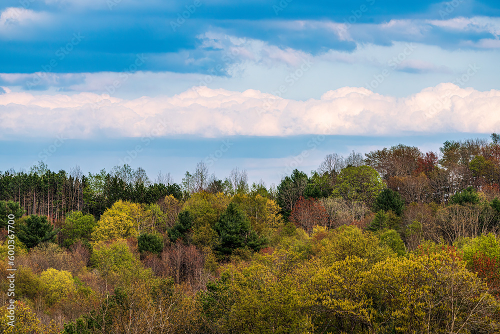 landscape in the mountains of Shenandoah national park