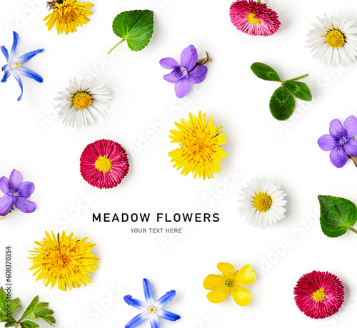 Fototapeta Naklejka Na Ścianę i Meble -  Meadow flowers creative layout isolated on white background.