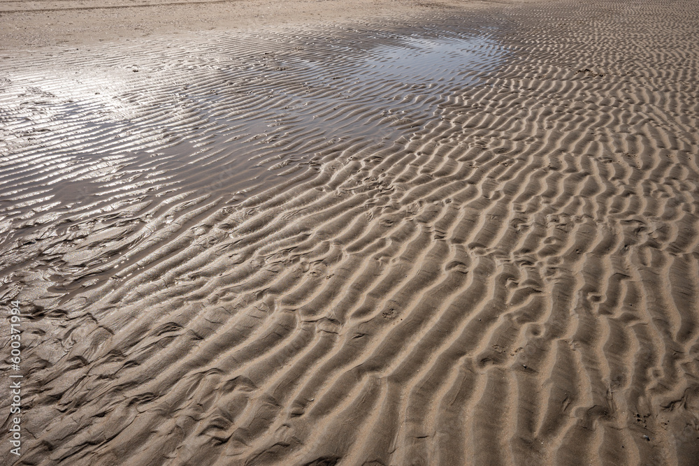 Fototapeta premium Wet sand with wind marks on the beach