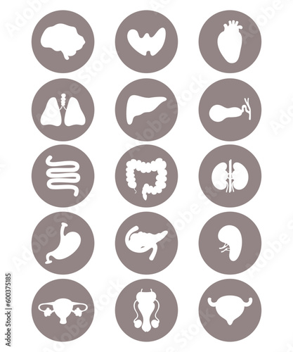 Set medical icons. Human internal organs. vector illustration. Anatomy concept. Isolated graphic drawings silhouettes in circle.