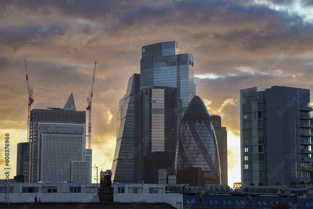 Fototapeta premium city skyline