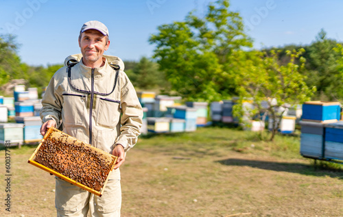 Honeycomb wooden frames taking out. Beekeeping organic honey farming concept. © Vadim