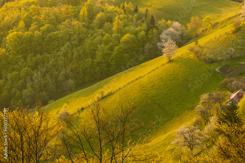 Scenic view of nature landscape over the hills and mountains in Poiana Marului, Brasov County, Romania. photo