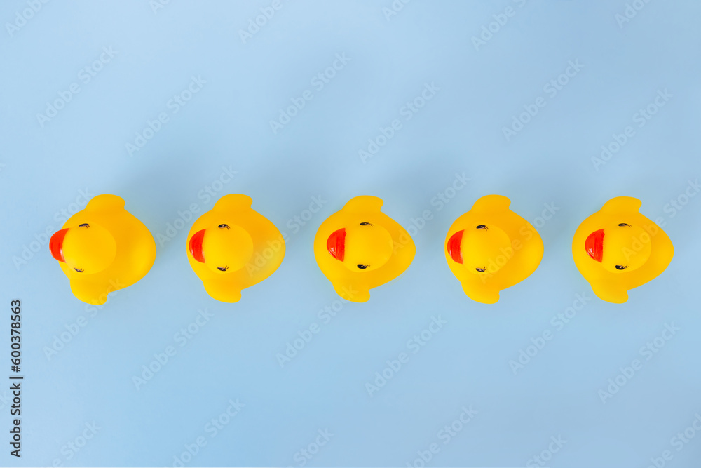 From above set of cute rubber ducklings toys in a row placed on bright blue background