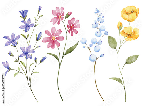 Flowers, summer design, watercolor hand painting. Perfectly for printing, sublimation. Digital illustration.