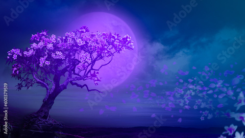 The beautiful flower of the full moon , champa tree at night   © khamla