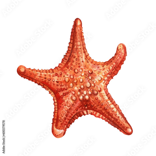 Starfish isolated on background. Watercolor illustration, hand drawing