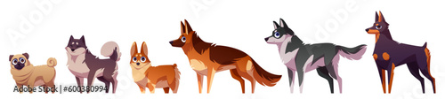 Cartoon set of dog breeds isolated on white background. Vector illustration of doberman, huski, German shepherd, Welsh corgi, pug with happy muzzles. Smart and funny pets, mascot animals. Best friend