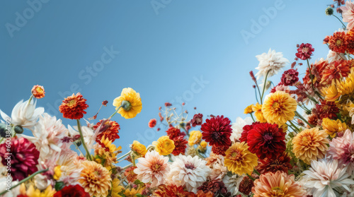 Summer Yellow Sunflowers, daisy flowers and knapweeds flowers Border surrounding on a blue Cloud sky, Highlighting the Soft and Selective Elements of Flower Border Art. Generative ai