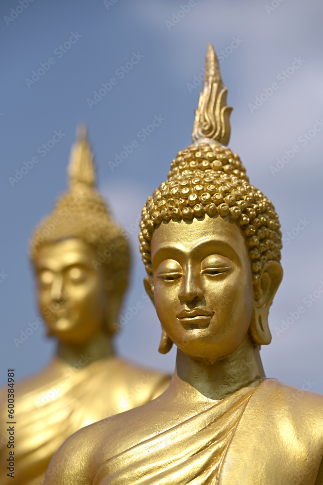 Faces of two golden Buddha statues in Buddhism sky nature scene
