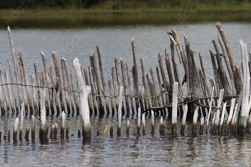 Fish Trap photo