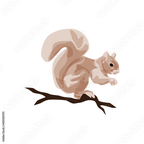 Eichhörnchen