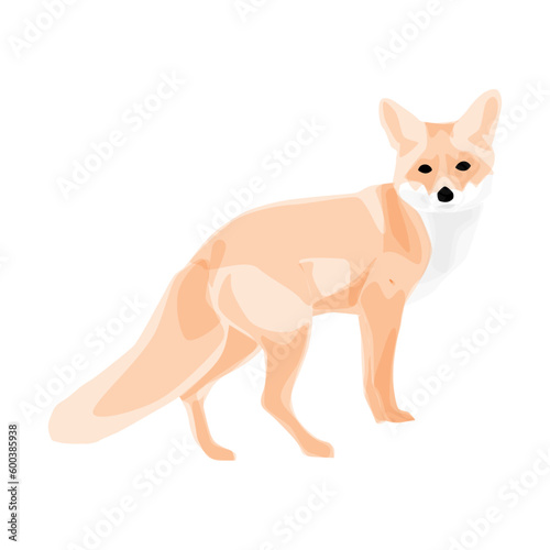 Rotfuchs