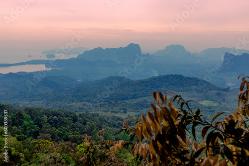 Close-up wallpaper view of nature (mountains, rivers, mangroves), the blurring of the wind blowing through the leaves, the beauty of the ecosystem while traveling photo