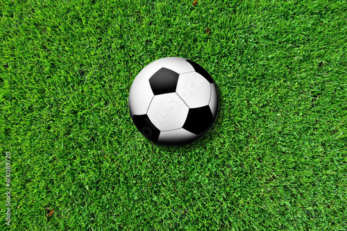 soccer ball  on grass lawn  graphic image  sport loved all over the world  championship and challenge champions to play in every tournament.