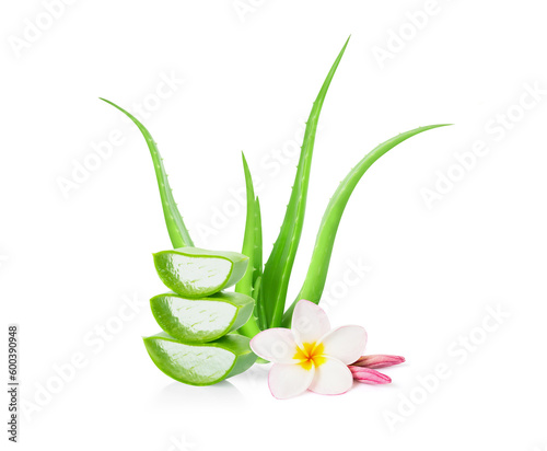 Aloe vera with slice isolated on white background, herb and medical