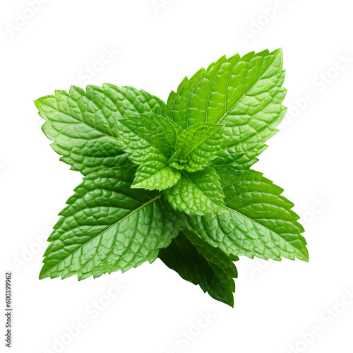 Fresh Mint leaf, Mint leaves isolated created with Generative AI photo
