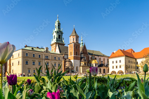 Kraków stare miasto photo