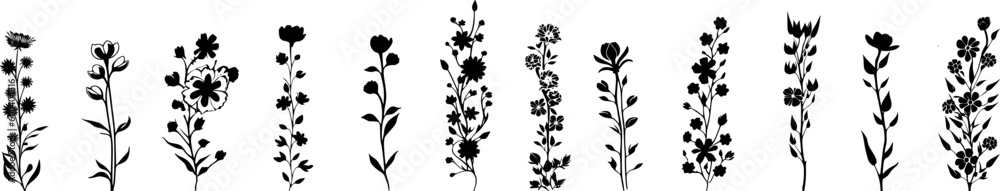 Silhouetten: Vektor Set - Ranken mit Blumen, Pflanzen und Blättern - obrazy, fototapety, plakaty 