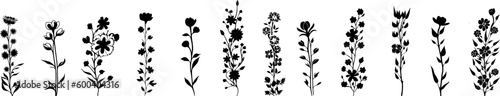 Silhouetten: Vektor Set - Ranken mit Blumen, Pflanzen und Blättern