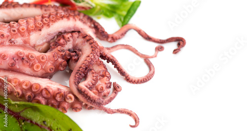 Octopus serving with vegetables, sea food. Freshly boiled octopus isolated on white background, Mediterranean cuisine, dinner. Border design on white background