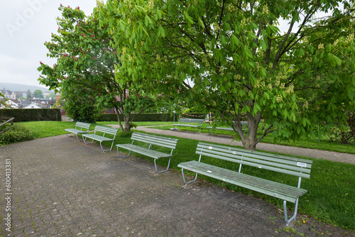 3 empty benches in a green urban park, cloudy daytime, no people