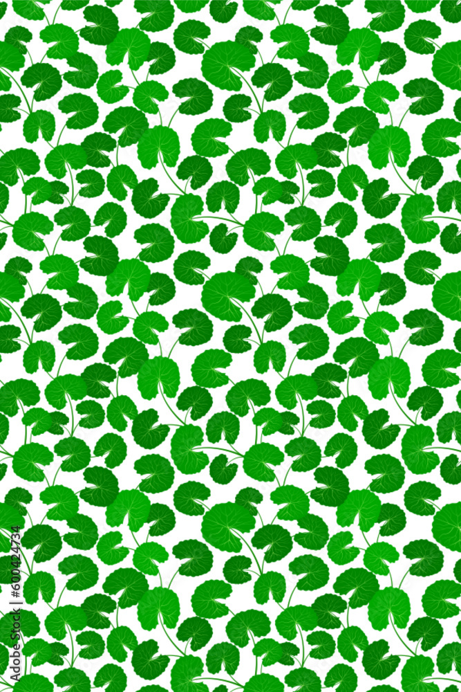 Fresh green leaf seamless pattern. Centella asiatica vector illustration. Gotu kola repeated texture. Asian pennywort endless background for organic cosmetics, natural products, food, eco design Fresh green leaf seamless pattern. Centella asiatica vector illustration. Gotu kola repeated texture. Asian pennywort endless background for organic cosmetics, natural products, food, eco design