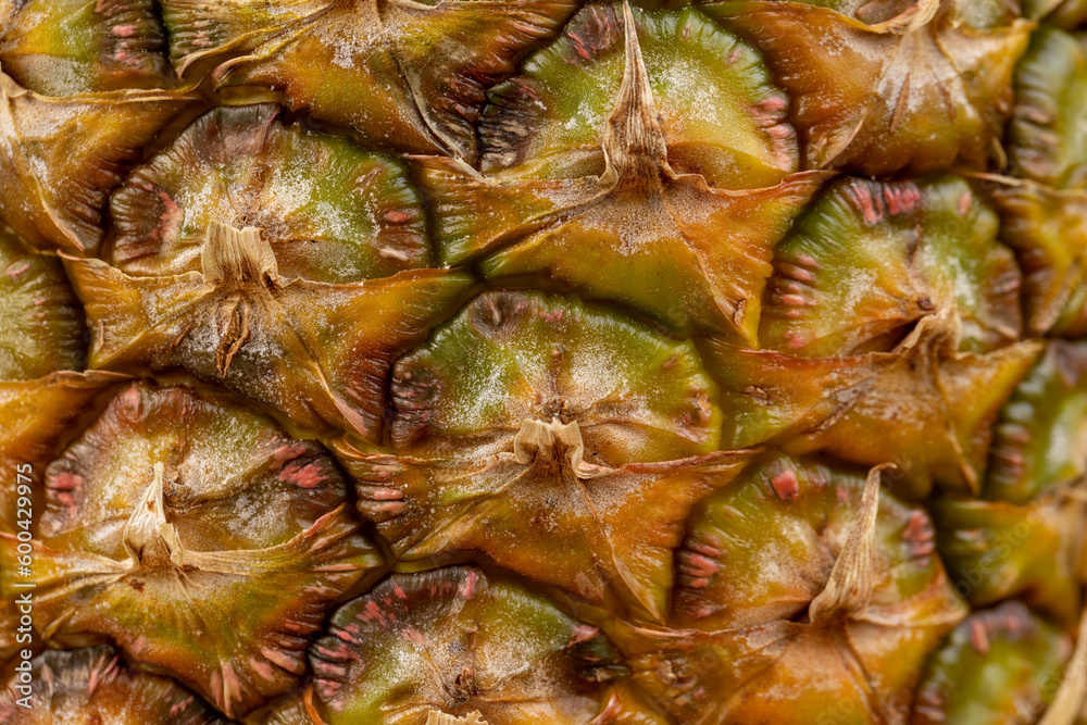 Yellow peel of ripe sweet pineapple, details Yellow peel of ripe sweet pineapple, details