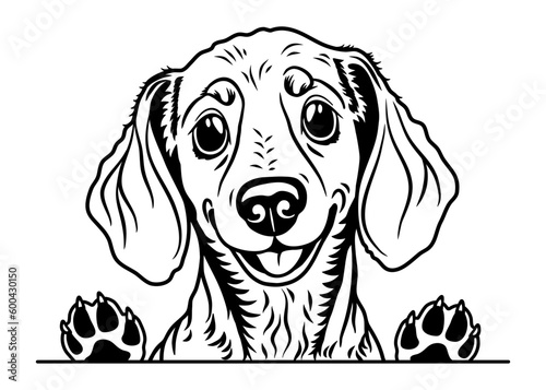 Peeking dog puppy vector illustration. 