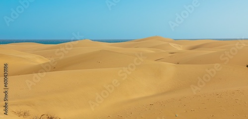 Maspalomas Dunes in Gran Canaria are protected and house many rare plant and animal species  including endangered birds. The sand dunes shift and change shape in the breeze.