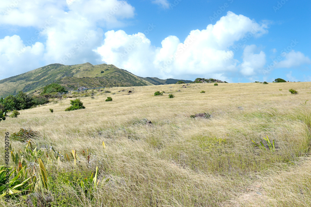 Obraz premium St Maarten