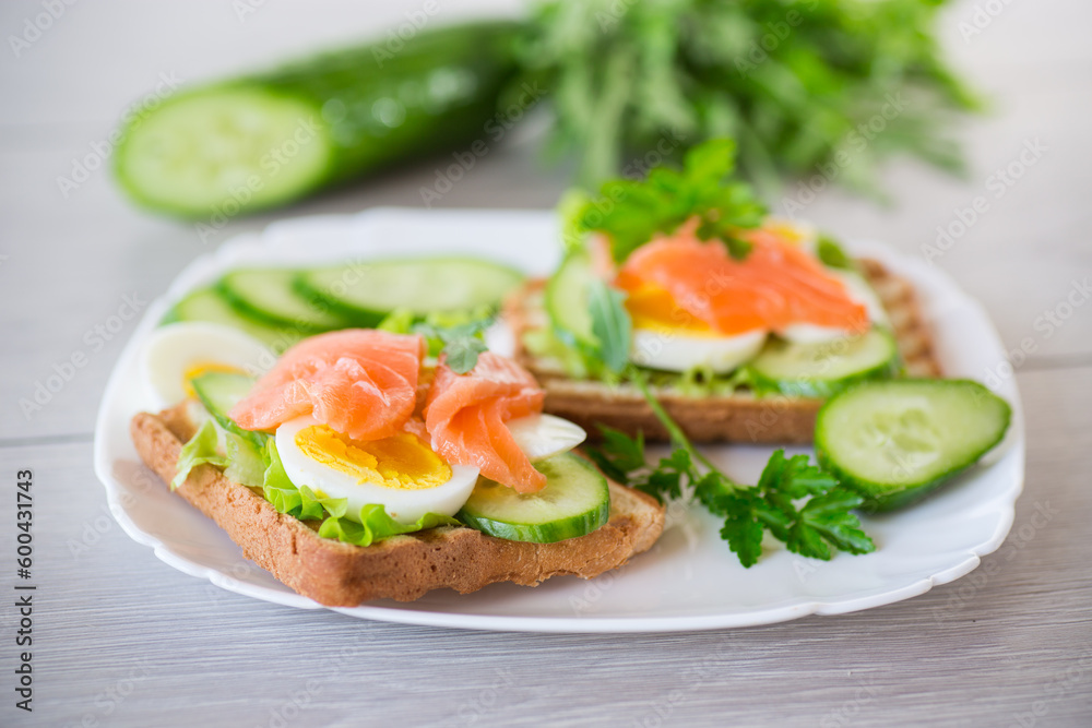 fried toast with lettuce, egg, cucumbers and red fish in a plate. fried toast with lettuce, egg, cucumbers and red fish in a plate.