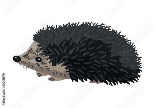 Hedgehog clip art. Single doodle of wild animal isolated on white. Colored vector illustration in cartoon style.