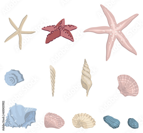 Seashells doodles set. Collection of mollusk shells, starfish. Colored vector illustration in cartoon style. Modern cliparts isolated on white.