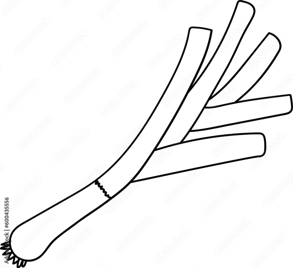 Fototapeta premium Healthy Vegetable